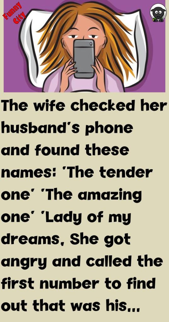 The Wife Checked Her Husband’s Phone